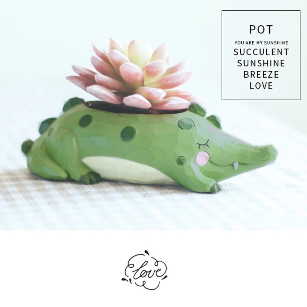 Flower pot, Resin Succulent Pot
